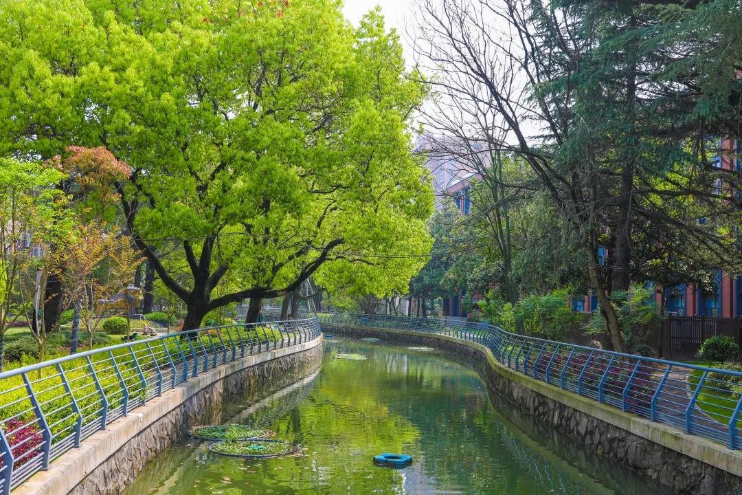 微信图片_20210415160105.jpg