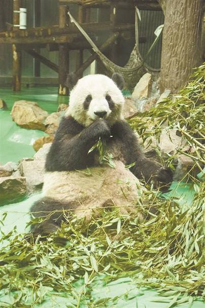 image008.jpg