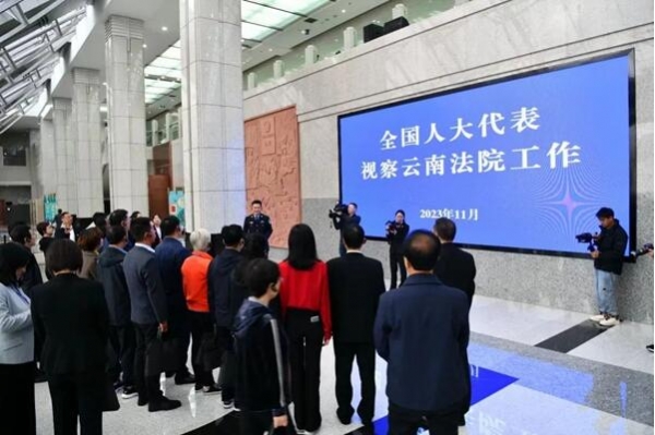 部分全国人大代表视察云南法院工作7