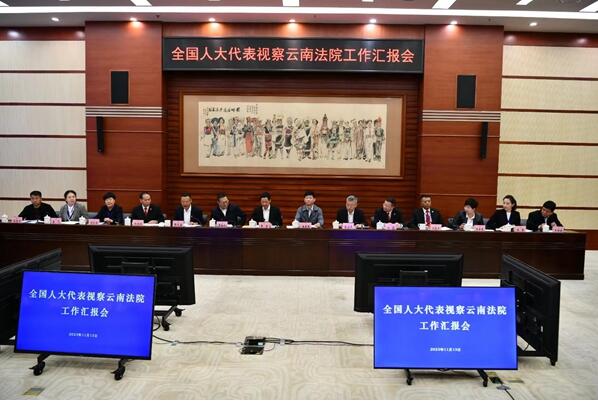部分全国人大代表视察云南法院工作1