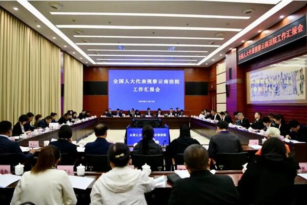 部分全国人大代表视察云南法院工作2