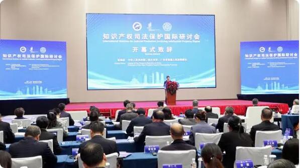 知识产权司法保护国际研讨会在穗召开