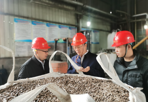 省生态环境厅到宁都县开展平安建设调研帮扶工作 省生态环境厅到宁都县开展平安建设调研帮扶工作